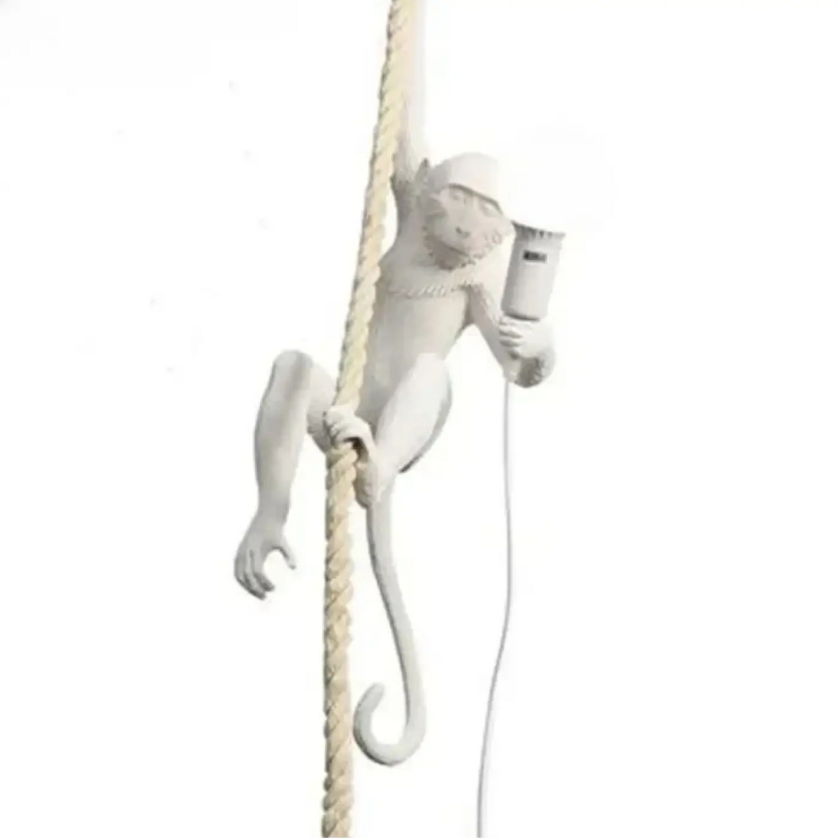 Suspension Singe Suspendu à une Corde – Namis