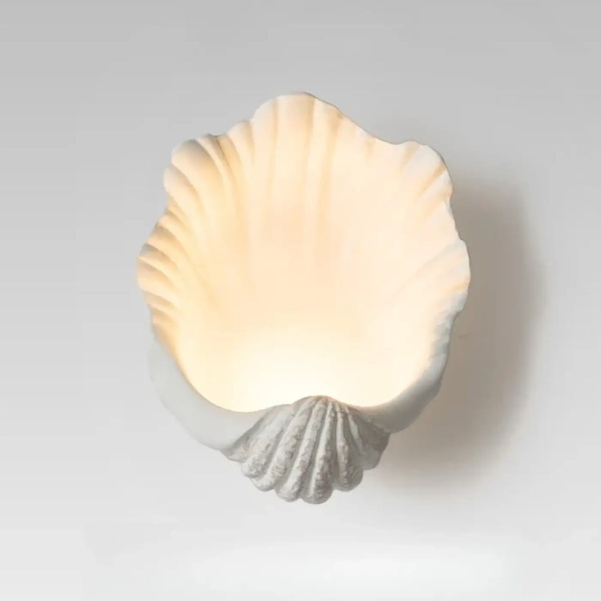 Applique Murale Coquillage – Vésis