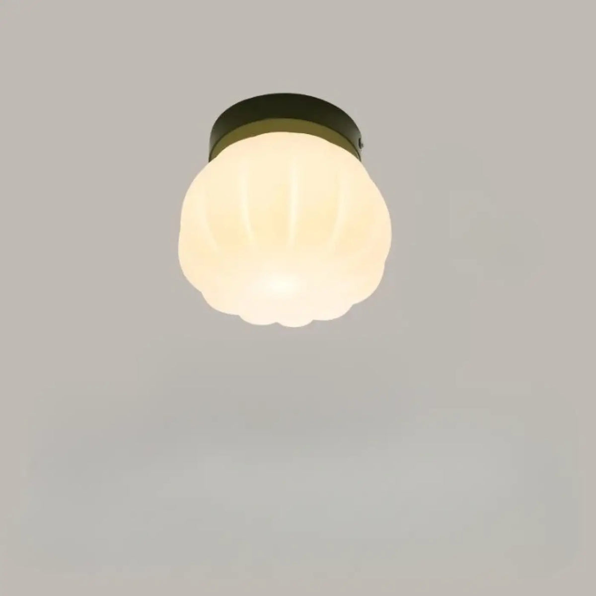 Applique Murale à Abat-jour Arrondi – Talan