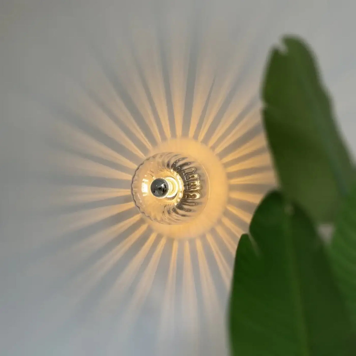 Applique Murale Soleil en Verre Doré – Fiva