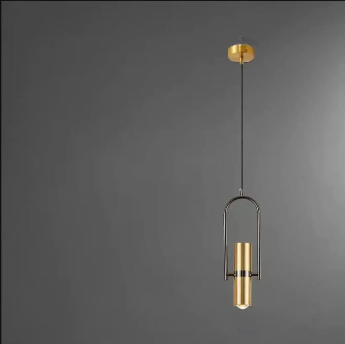 Suspension Laiton Brossé à Spot Orientable – Tidane