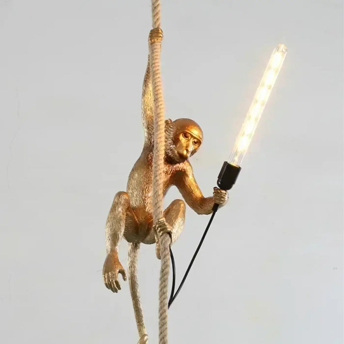 Suspension Singe Suspendu à une Corde – Namis