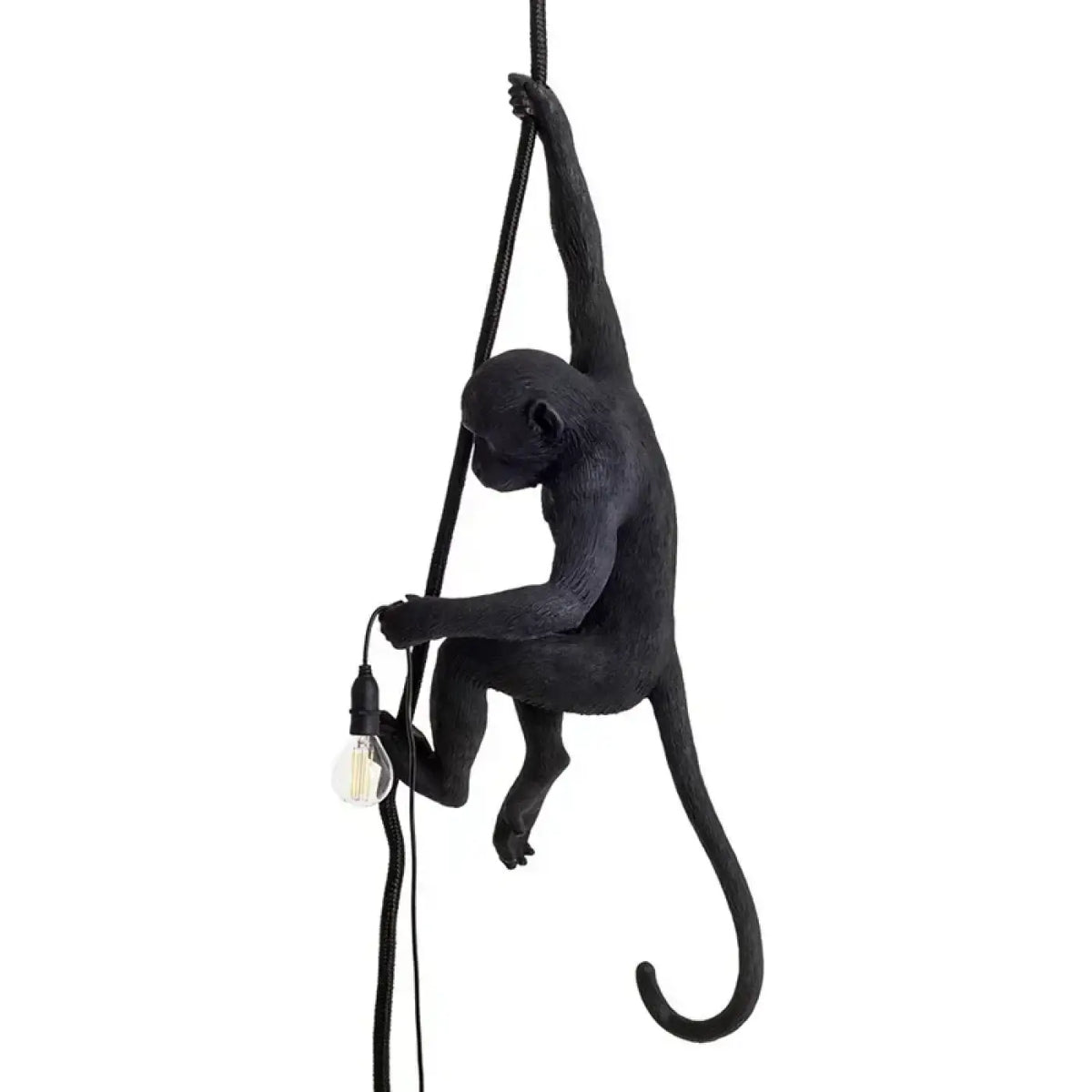 Suspension Singe Suspendu à une Corde – Namis