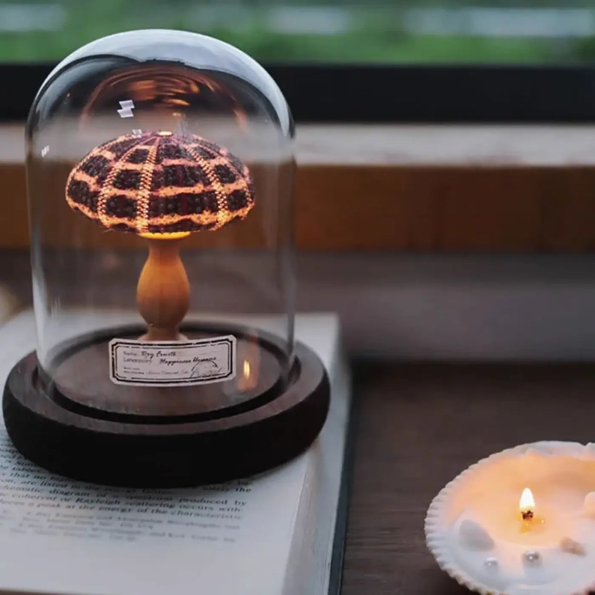 Veilleuse Oursin sous Cloche en Verre – Clesio